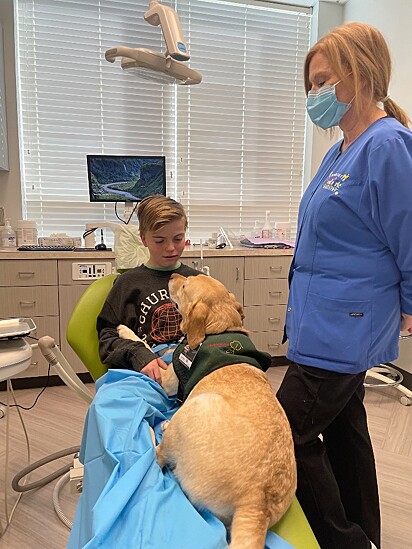 Levi está feliz na presença do cão terapia