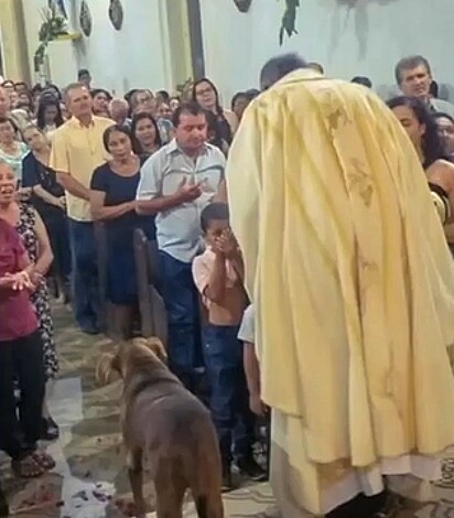 A cadelinha na missa ao lado do padre.