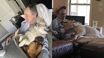 O homem adora a visita dos cães.
