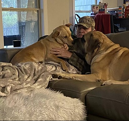 O homem está no sofá com dois cães.