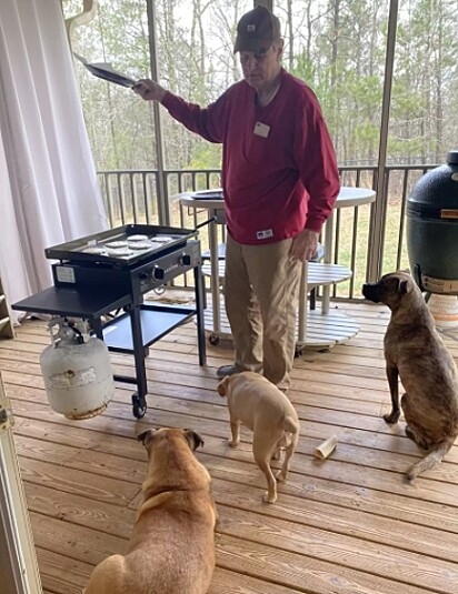 O homem está fazendo churrasco na companhia de três cachorros.
