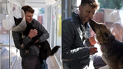 Veterinário resgata animais na Ucrânia.