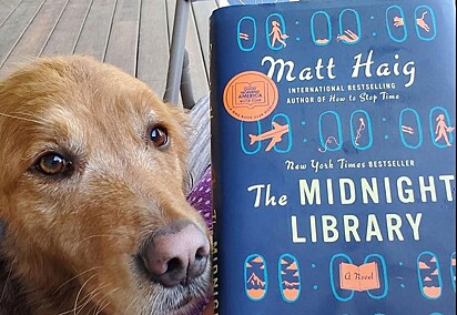 A cadela está ao lado de um livro.