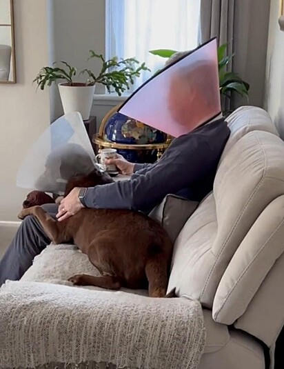 Homem e cão estão no sofá assistindo TV.