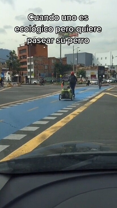 Motorista flagra jovem andando de scooter com o seu cão em carrinho acoplado.