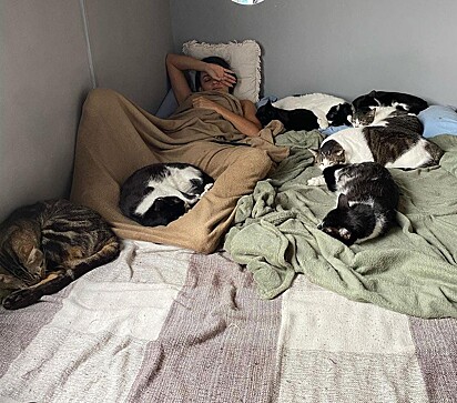 A tutora está deitada com todos os gatos.