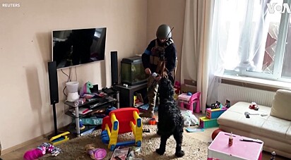 Os soldados torcem poder reunir o cão com sua família.