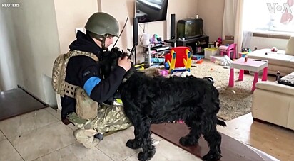 O cão aparentava ser dócil e logo fez amizade com um dos soldados.