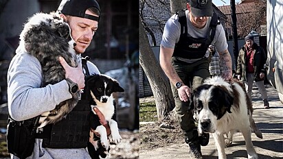 Homem organiza equipe e vai para a Ucrânia resgatar animais perdidos e abandonados.