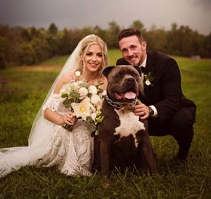 O casal e o cão em uma foto após o casamento.