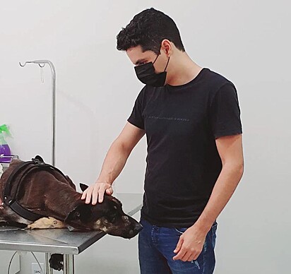 Afonso está acompanhando a cadela no veterinário.