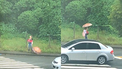 Menina enfrenta chuva e frio para resgatar cachorra de rua ferida.