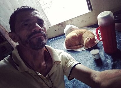 O gato está dormindo na mesa da cozinha.
