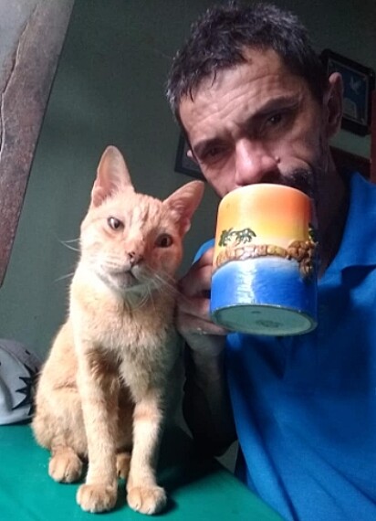 O tutor está tomando café ao lado do gatinho.