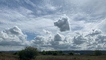A nuvem está formando a silhueta de um cão.