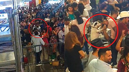 Homem tira o seu pet pra dançar e arrasa em festa no México.