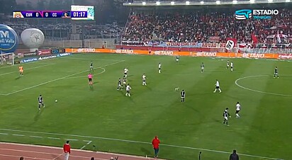 A torcida ficou enlouquecida ao ver o cãozinho correndo pelo campo.