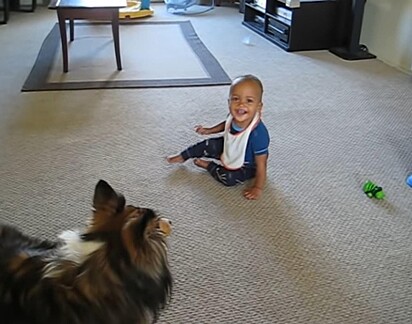 O bebê está rindo do cão.