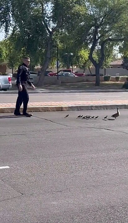 O policial conduzindo a pequena família até a calçada.