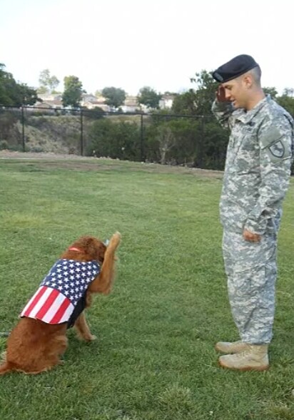 A cadela está saldando um militar.