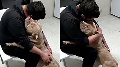 Durante crise de ansiedade de cão, do abraça para acalmá-lo.