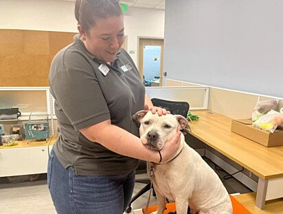 Charlotte está no abrigo de animais.