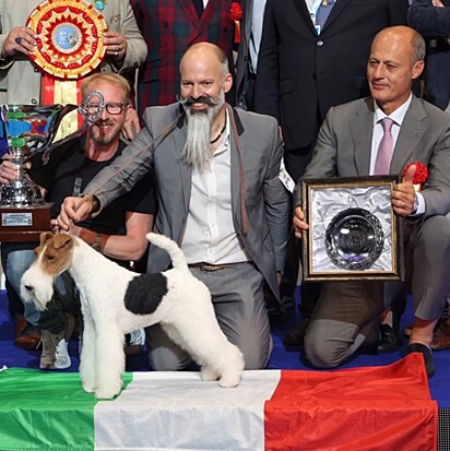 Funfair foi coroado o melhor cão do mundo pela World Dog Show.