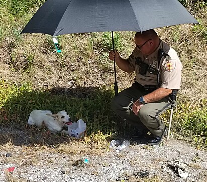 O policial segurando o guarda-chuva para proteger a cachorra do sol escaldante.