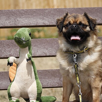 Larry ao lado do seu amigo dinossauro.