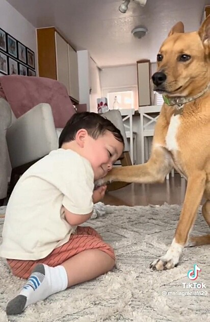 A criança segurando a pata da cadela.
