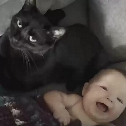 A gata ao lado da bebê.