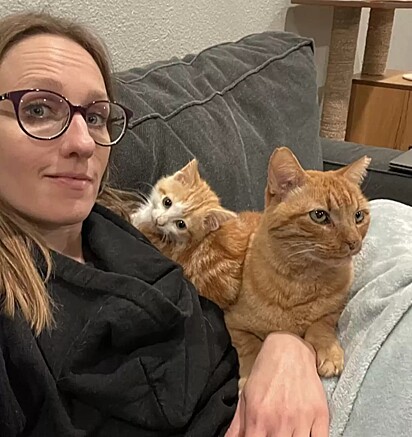 Megyn Scott-Hintz com os seus gatinhos.