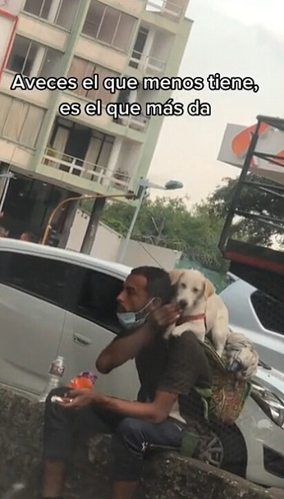 O homem alimentando o cão.