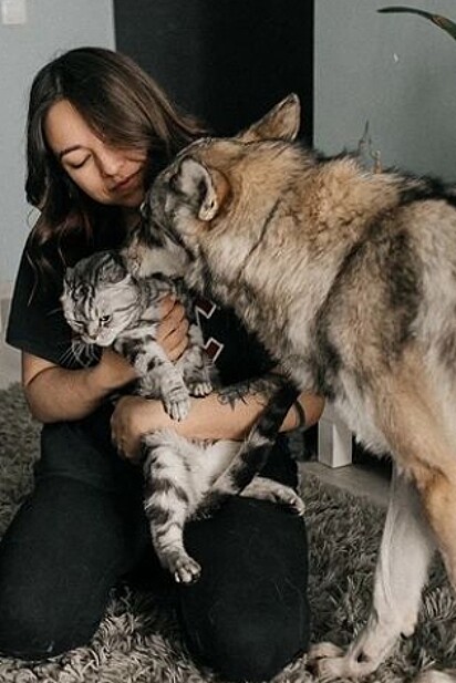  Alida Nasyrova com seus dois pets.