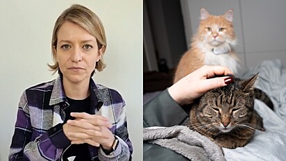 Psiquiatra veterinária responde se gatos sentem ciúmes.