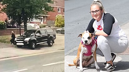 Veículo invade calçada onde mulher passeava com sua cachorra.