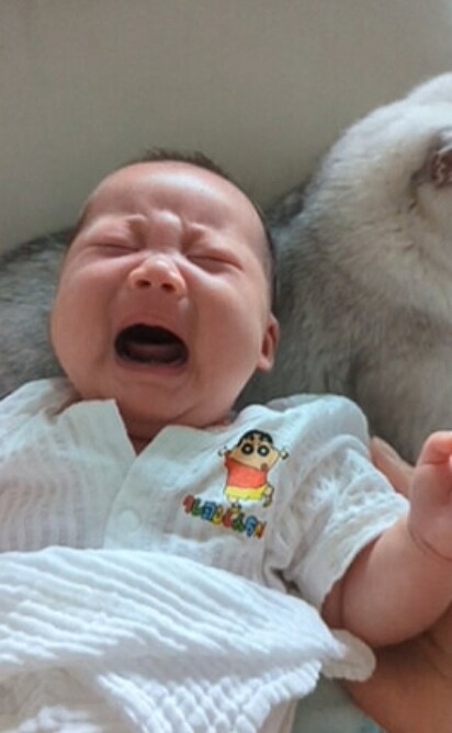 O bebê chorando perto do felino. 
