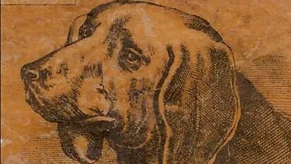 Imagem de homem está camuflada em ilustração de cachorro.