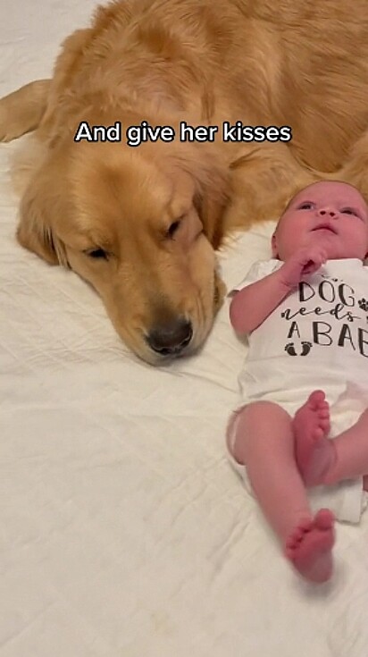 O cão cuidando da irmã humana.