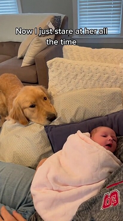 Milo observando a bebê.