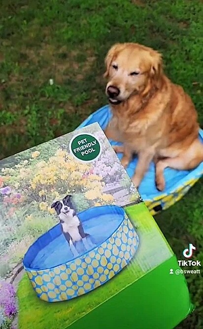 Foto ilustrativa na caixa do produto e Turbo sentado na piscina.