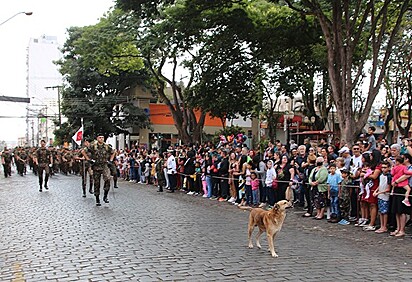 O caramelo invadiu o desfile Cívico Militar.