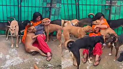 Mulher é vista sendo recebida calorosamente por seus cães.