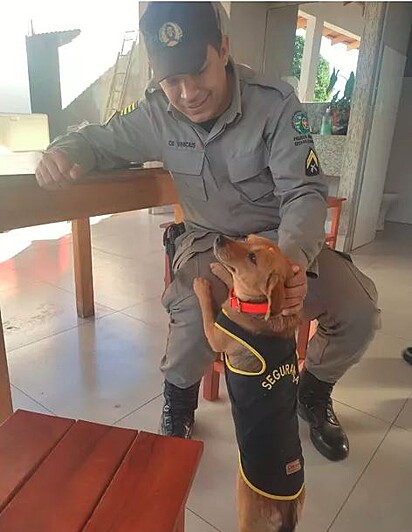 A cachorra é uma verdadeira companheira para os policiais do batalhão.