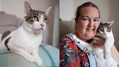 Gato salva a vida de tutora depois dela sofrer um ataque cardíaco enquanto dormia.