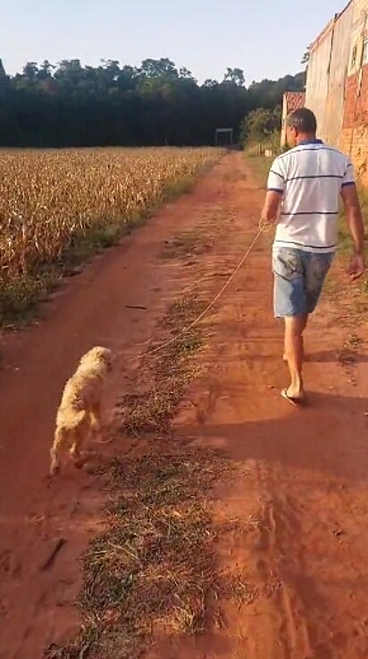 O homem levando o cão para o local do abandono.