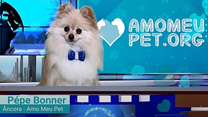 Pépe Bonner apresenta o Jornalzinho Amo Meu Pet, o webjornal mais fofo e com memes.