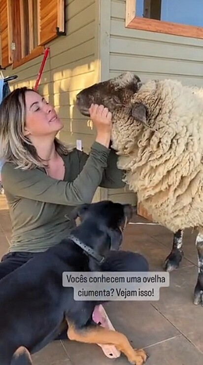 A mulher acariciando a ovelha.