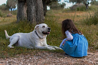 A relação das crianças com os cachorros é benéfica desde cedo