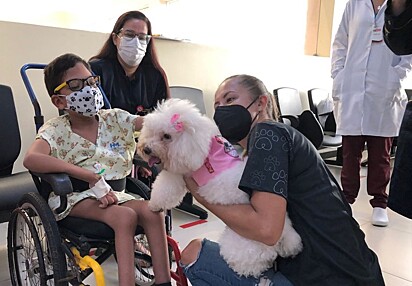 Os cachorrinhos terapêuticos visitaram hospital na Paraíba